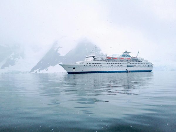 Croisières en Antarctique : prix, astuces et confort à bord