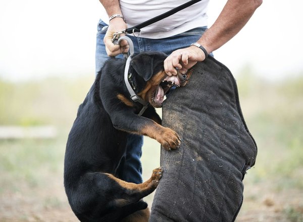 Choisir des portes coupe-feu pour optimiser la sécurité incendie